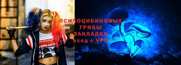 трава Майский