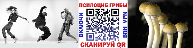 Купить закладки  Зарайск  Галлюциногенные грибы MAGIC MUSHROOMS 